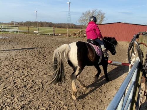 Sprungtraining