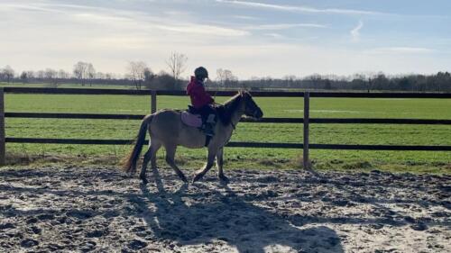 Einzeltraining